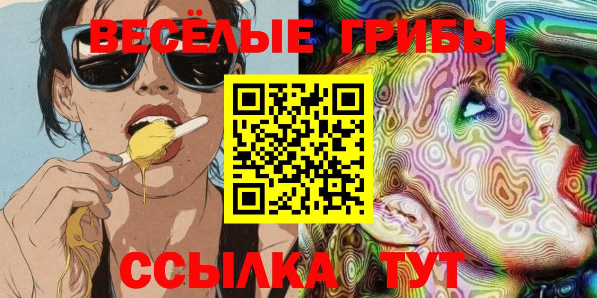 Псилоцибиновые грибы GOLDEN TEACHER Качканар
