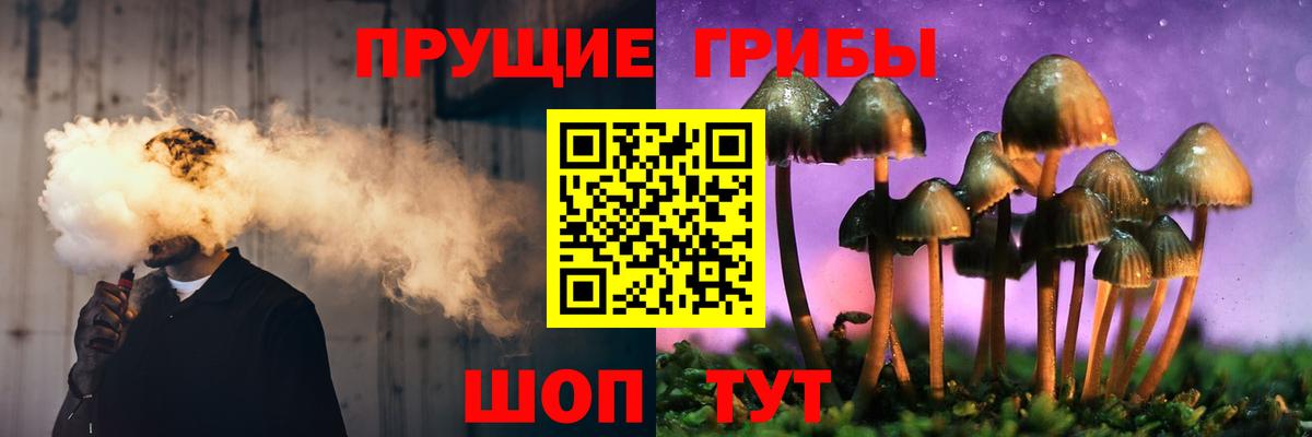 Псилоцибиновые грибы ЛСД  Галлюциногенные грибы GOLDEN TEACHER  Вход с VPN  Качканар 